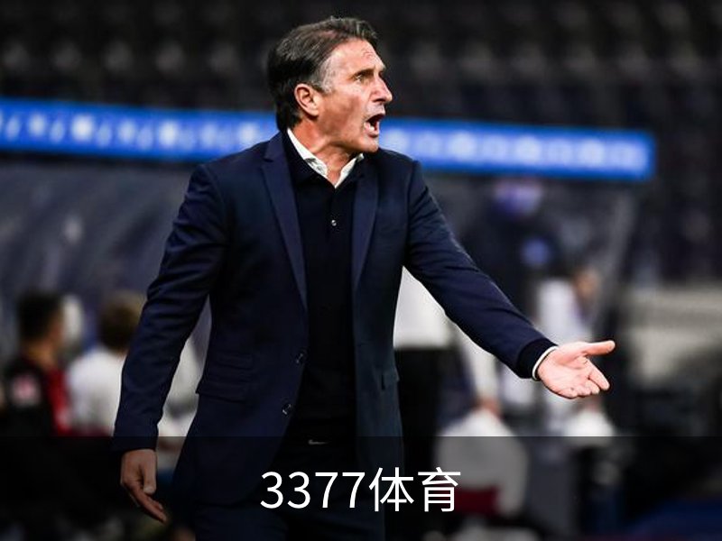 了解3377体育